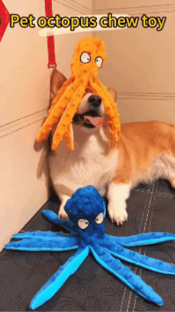 Pulpo para Mascota